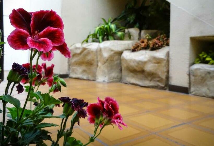 اتاق استاندارد, Mariscal Inn & Suites