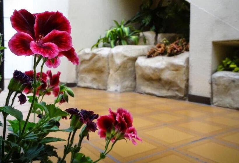 اتاق استاندارد سه نفره, Mariscal Inn & Suites