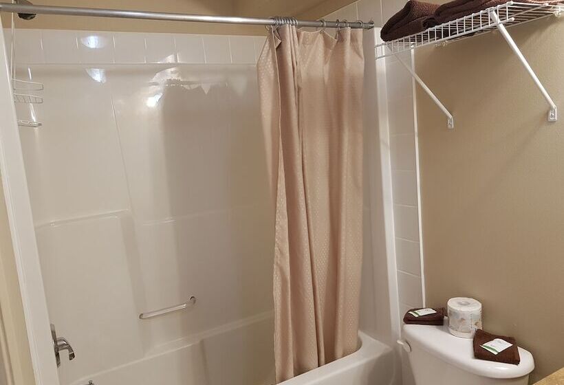 غرفه قياسيه سريرين مزدوجين, Avalon Inn