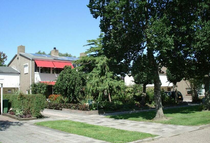 Номер Стандарт, B&b Oosterpark