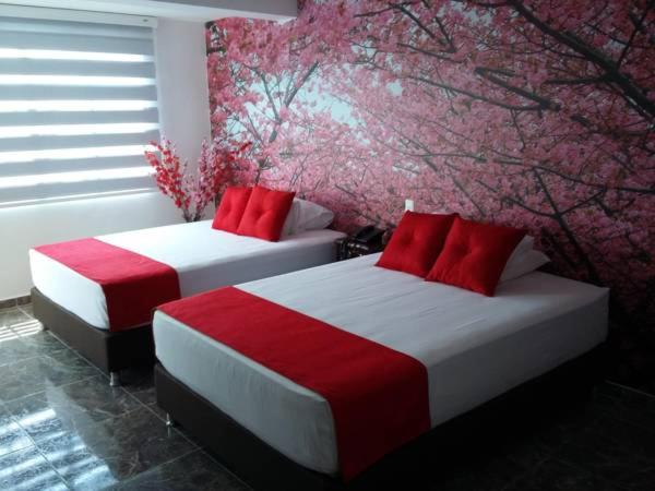 غرفة قياسية, Jardines Del Caney
