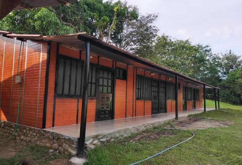 스탠다드 룸, Los Kioscos