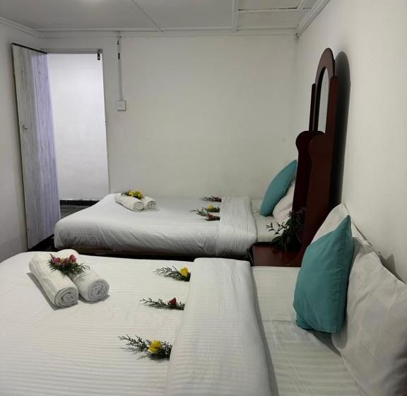 Quarto Familiar, Wild Trekkers