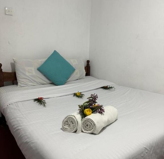 Quarto Estandar, Wild Trekkers