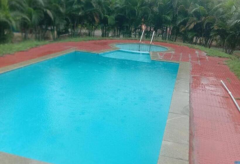 标准间, Sunshine Beach House