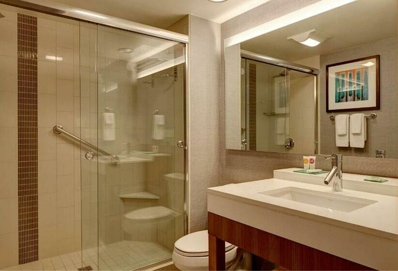 스탠다드 룸 킹사이즈 침대, Hyatt Place Sarasota/lakewood Ranch