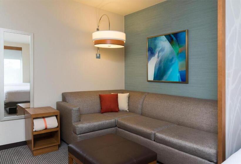 장애인을 위한 스탠다드 룸, Hyatt Place Sarasota/lakewood Ranch