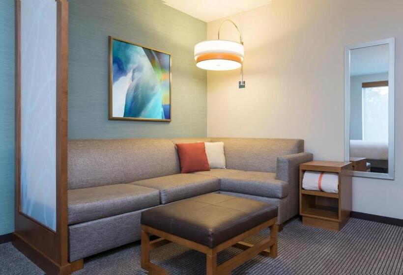 غرفة قياسية لذوى الاحتياجات الخاصة, Hyatt Place Sarasota/lakewood Ranch