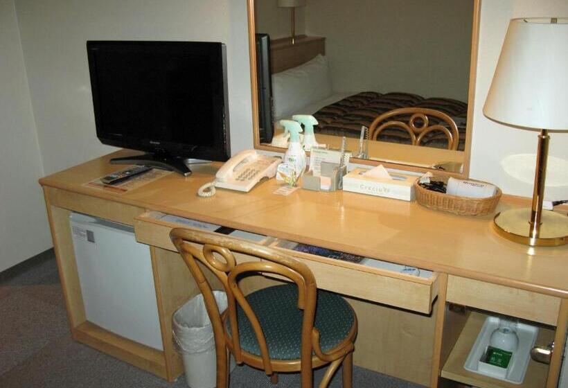 Студия Стандарт, Oaks Early Bird Osaka Morinomiya