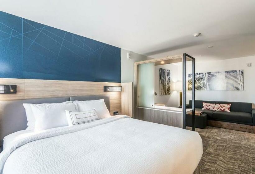 Люкс Кровать Кинг, Springhill Suites By Marriott Oklahoma City Downtown