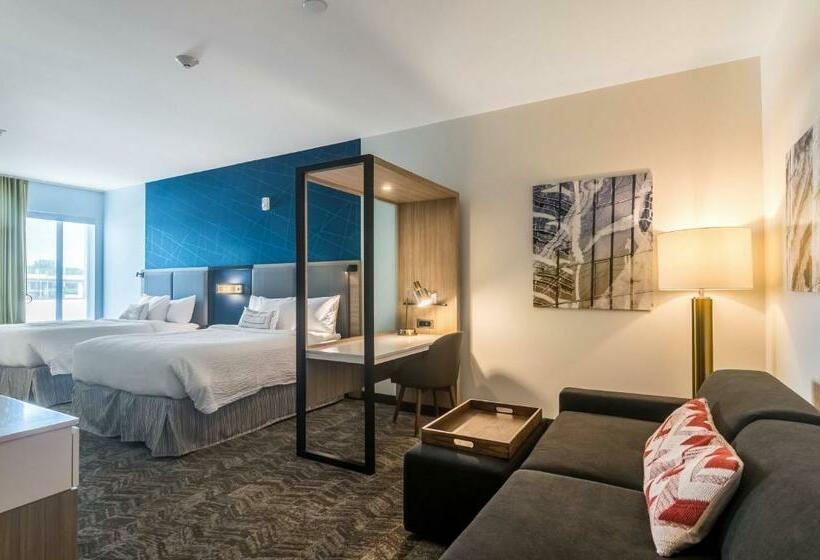Люкс, Springhill Suites By Marriott Oklahoma City Downtown