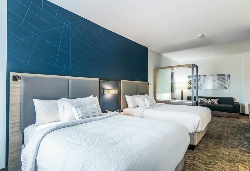 Люкс, Springhill Suites By Marriott Oklahoma City Downtown