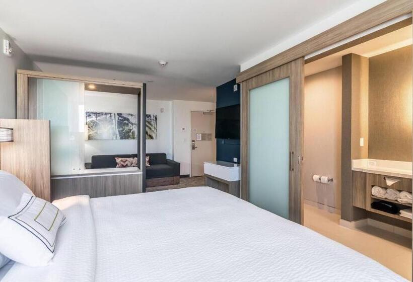 Люкс Кровать Кинг, Springhill Suites By Marriott Oklahoma City Downtown