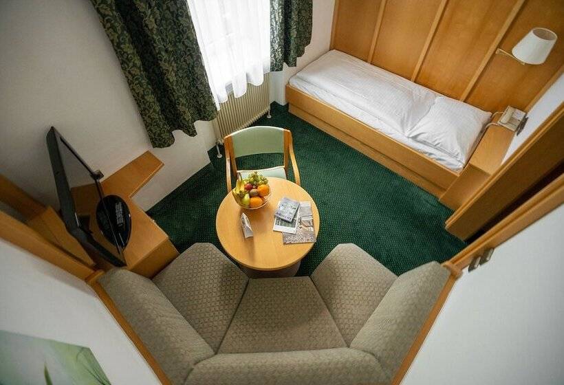 スタンダードシングルルーム, Sporthotel Am Semmering