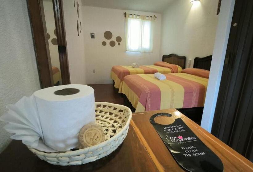 スタンダード４人部屋, Casa Bugambilias