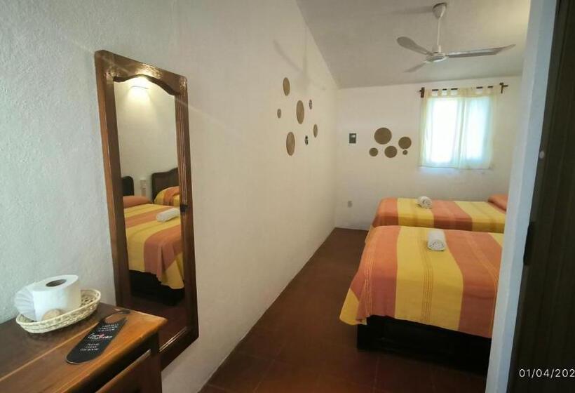 スタンダード４人部屋, Casa Bugambilias
