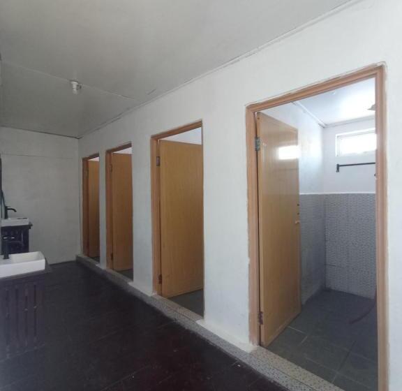 Номер Стандарт Вид на Море с Балконом, Seahorse Diver Guesthouse