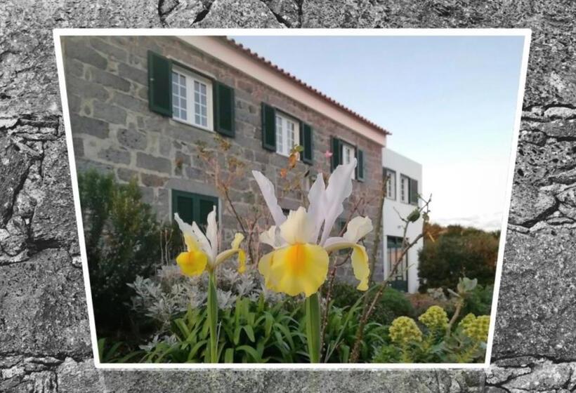 Номер Стандарт, Belo Campo   Ilha Do Faial