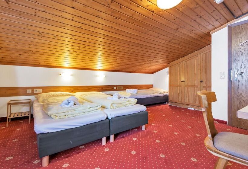 Economy Triple Room, Pinzgauerhof Ski & Bike   Inclusive Evening Dinner