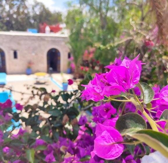 Номер Стандарт Трехместный, Riad Eucalyptus