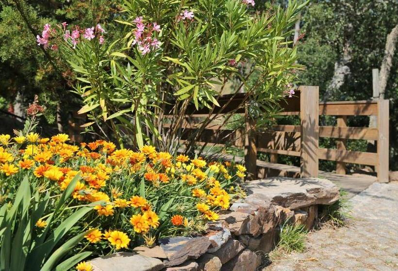 Апартаменты 1 Спальня с Видом, Monte Da Vilarinha