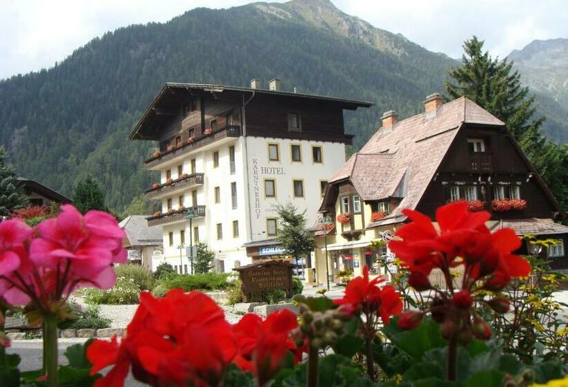 Номер Стандартный с Видом, Kärntnerhof