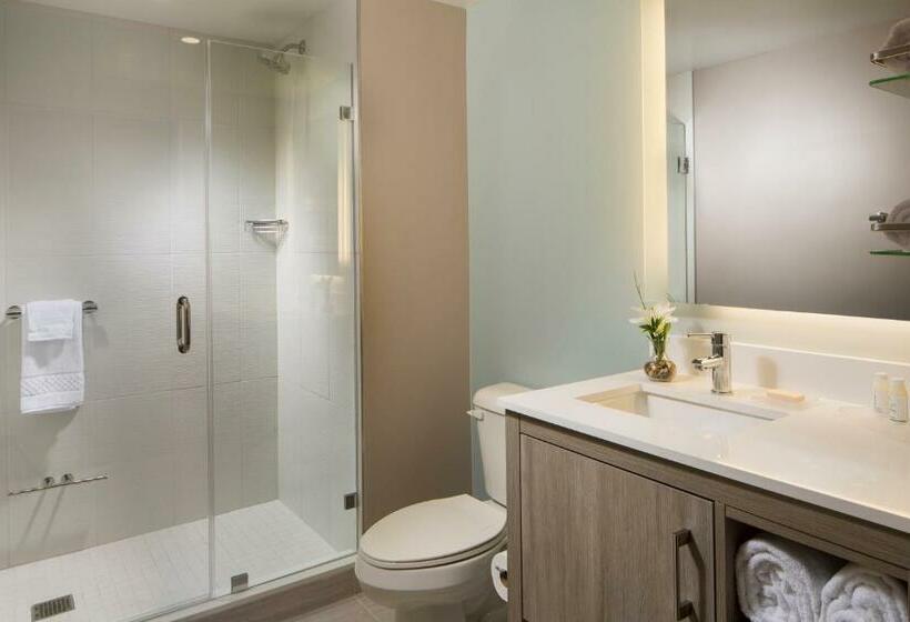 Студия Стандарт, Residence Inn Miami Sunny Isles Beach