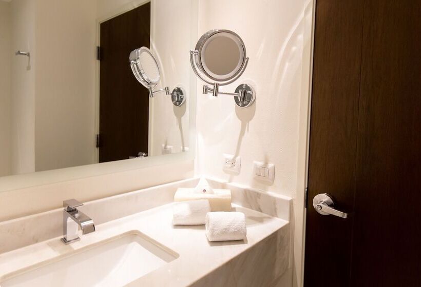 Deluxe Szoba, Hs Hotsson Hotel Irapuato
