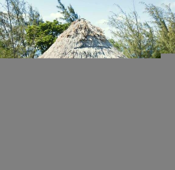 프리미엄 방갈로, Thatch Caye Resort A Muy'ono Resort