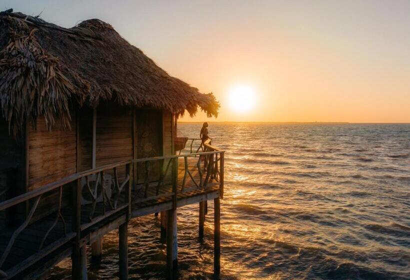 프리미엄 방갈로, Thatch Caye Resort A Muy'ono Resort