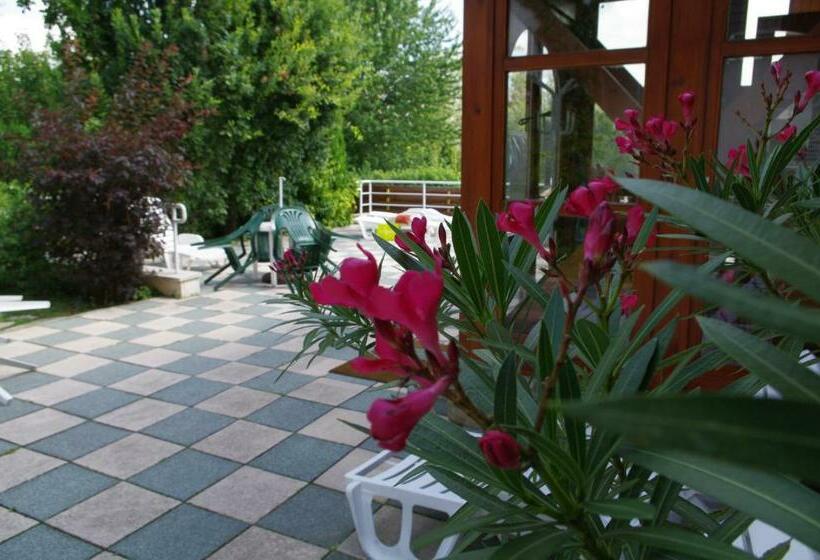 Номер Стандарт, ágnes