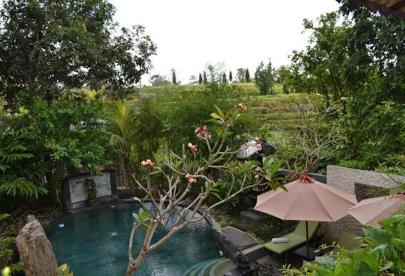 Номер Deluxe с Балконом, Kts Balinese Villas