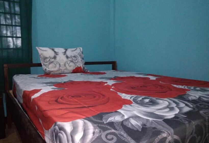 اتاق لوکس, Breeze Hostel