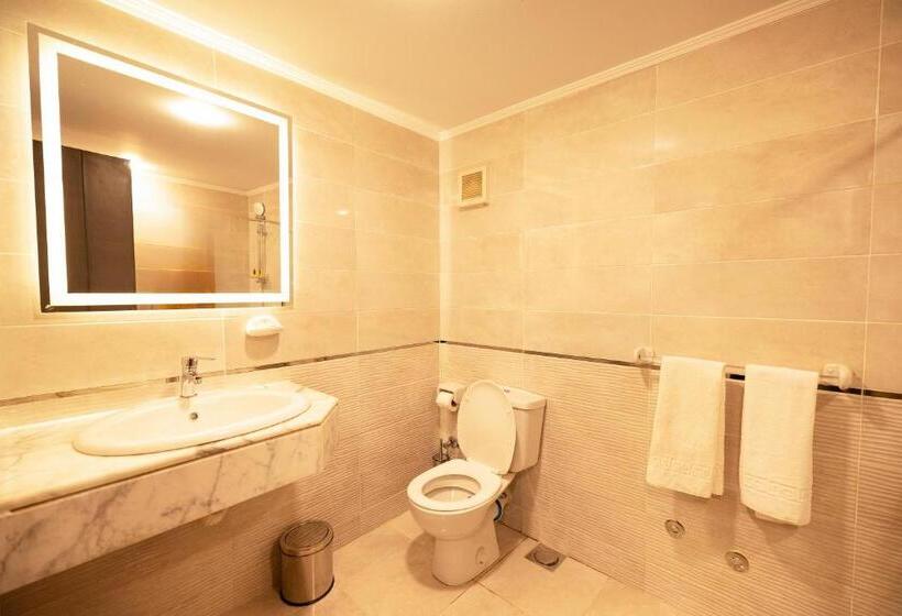 اتاق استاندارد یک نفره, Mar Charbel Hotel Cairo