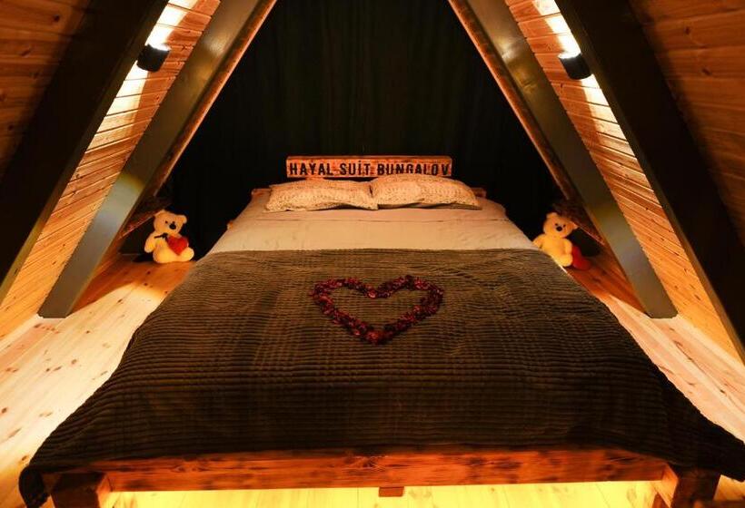 Номер Стандарт, Hayalsuitbungalovv