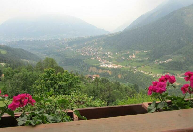 Quarto standard, Gasserhof Garni & Apartment