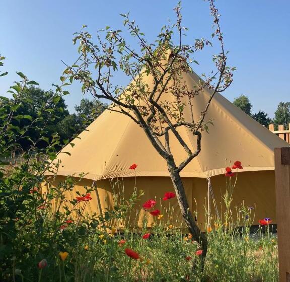 Номер Стандарт с Террасой, ô Bord De Loire