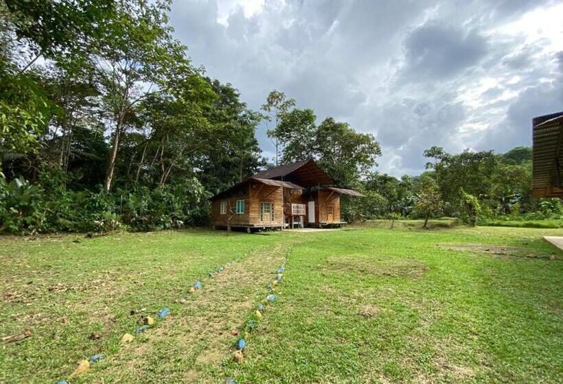 Номер Стандарт, Ecogreen Hotel   San Cipriano