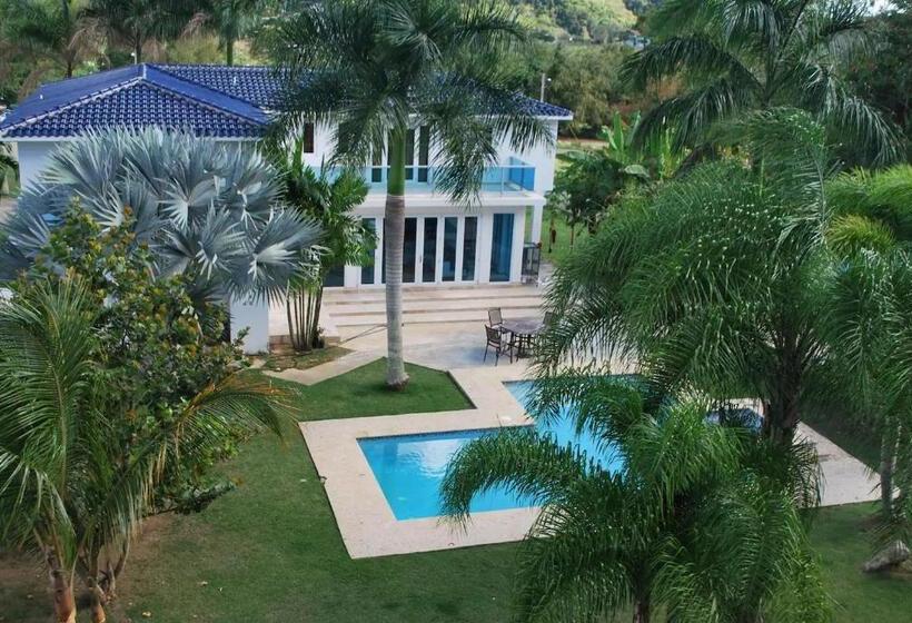 سوییت لوکس, Manati World Point Inn