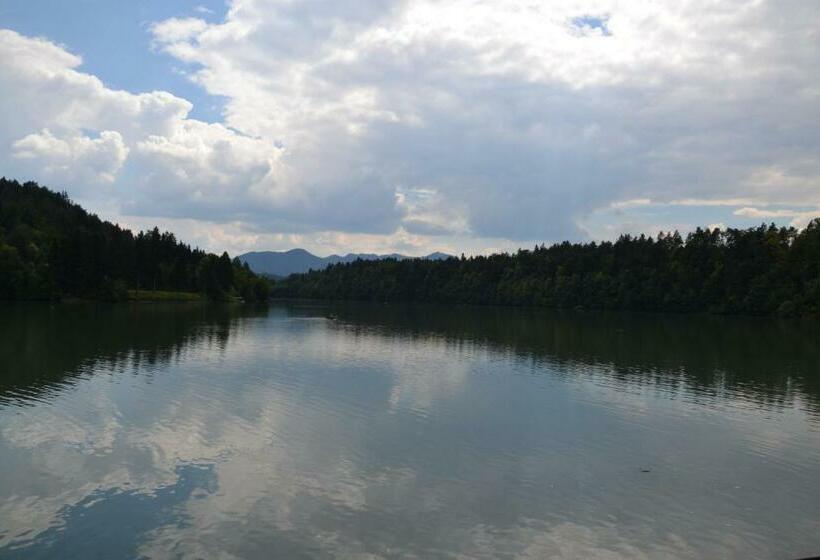 اتاق استاندارد با چشم‌انداز دریاچه, Gostisce Jezero