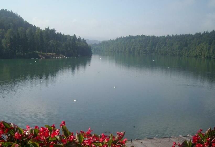 اتاق استاندارد با چشم‌انداز دریاچه, Gostisce Jezero