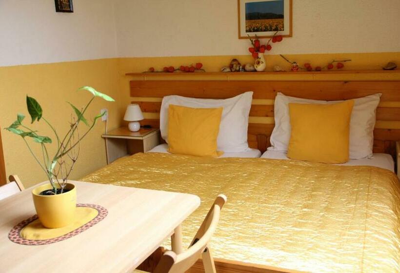 اتاق استاندارد, Mekina Guesthouse