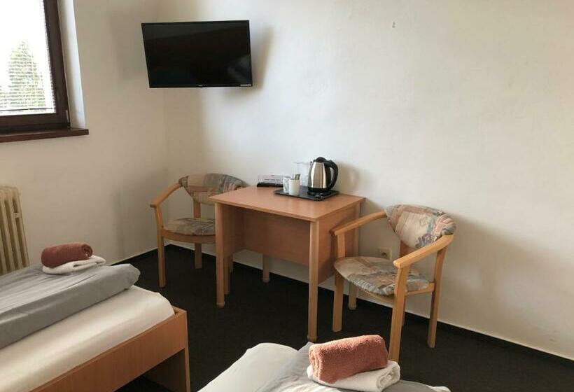 غرفة قياسية, šport Hotel Bôrik
