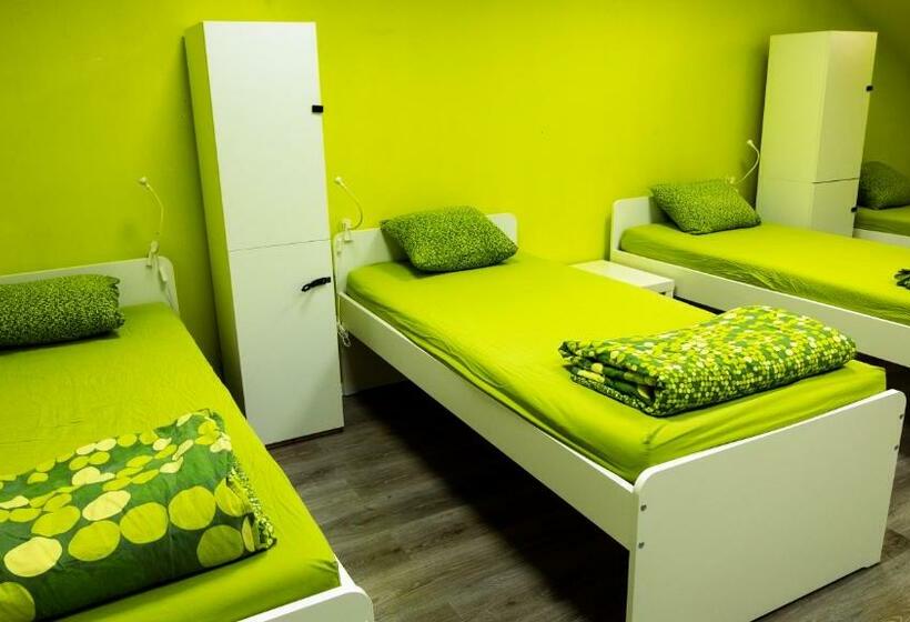 تختخواب در اتاق مشترک, Nitra Glycerin Hostel