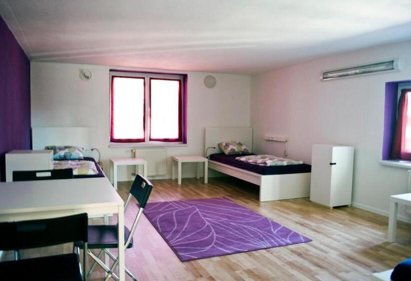اتاق خانوادگی با سرویس بهداشتی مشترک, Nitra Glycerin Hostel