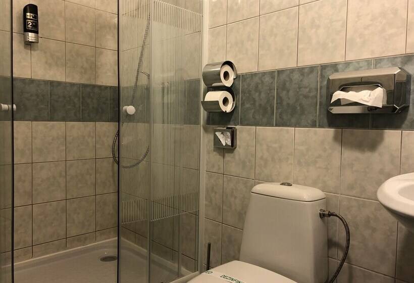 غرفة قياسية, šport Hotel Bôrik
