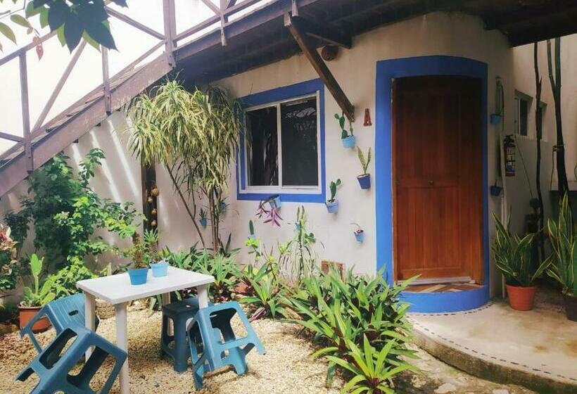 标准间, Jardin Mahahual