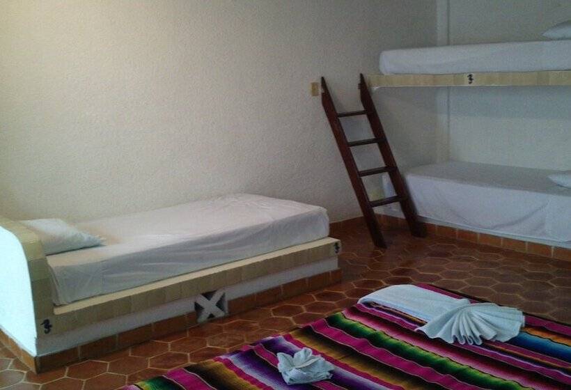 اتاق خانوادگی, Safari Inn