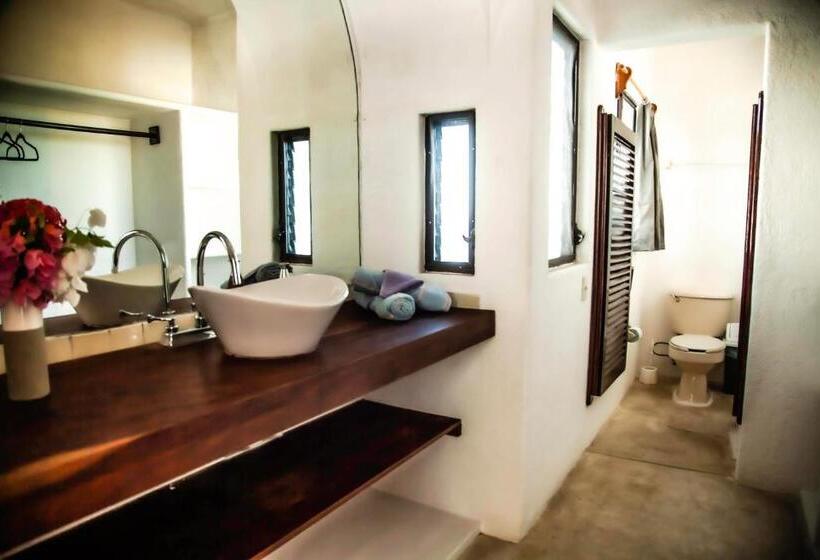 Люкс Мастер, Villas Mykonos