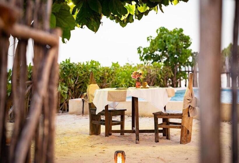 اتاق لوکس خانوادگی, Pili Pili Beach Bungalows